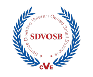 3 SDVOSB